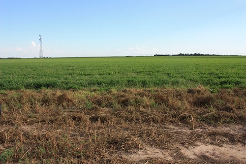 Property photo 102 - LAND AUCTION, 3255+/- Acres offered in 13 Tracts